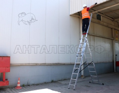 Лестница-стремянка 3х16