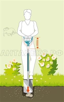 Лопата Terraline садовая, малая