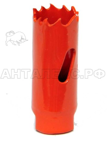 Цифенбор Elitech 1820.059400 , Bi-Metal, ?20мм.