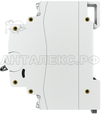 Авт. выкл ВА47-63 2П 40А EKF