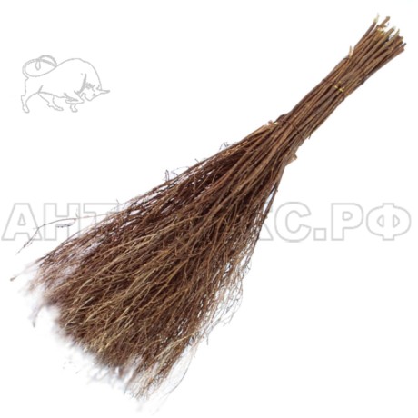 Метла (сибирьковая) без черенка