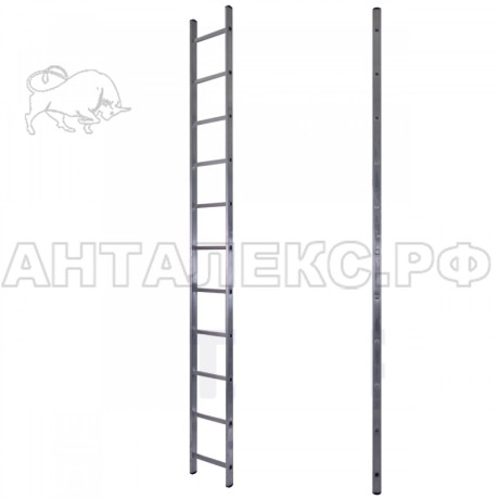 Лестница STAIRS 1секц.  1х11 ступеней алюминий