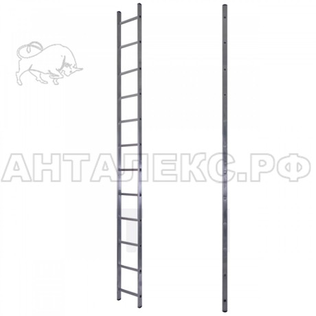 Лестница STAIRS 1секц.  1х12 ступеней алюминий