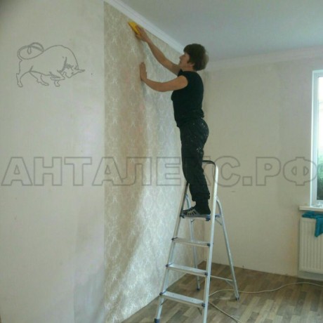 Стремянка С05 5ст  1,0м 6,0кг сталь