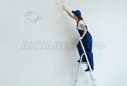 Стремянка С08 8ст  1,66м 8,3кг сталь