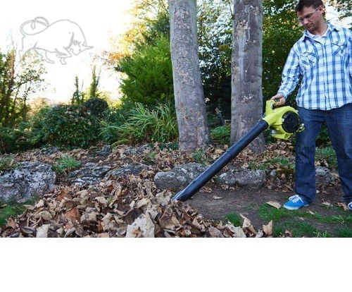 Воздуходувка бензиновая Ryobi RBV26B